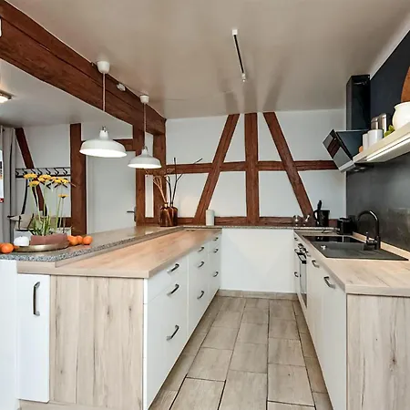 Pet Friendly In With Kitchen Apartment Suhl