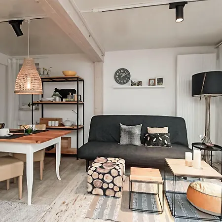 Apartment Pet Friendly In With Kitchen